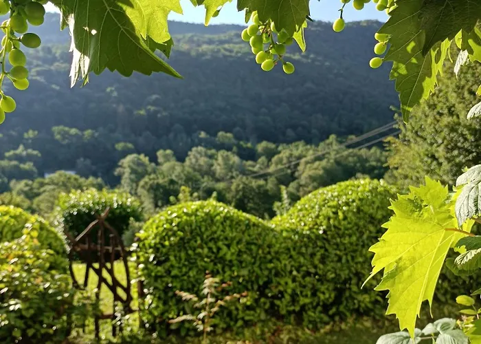 T3 Au à 5 Min D'annecy Centre *